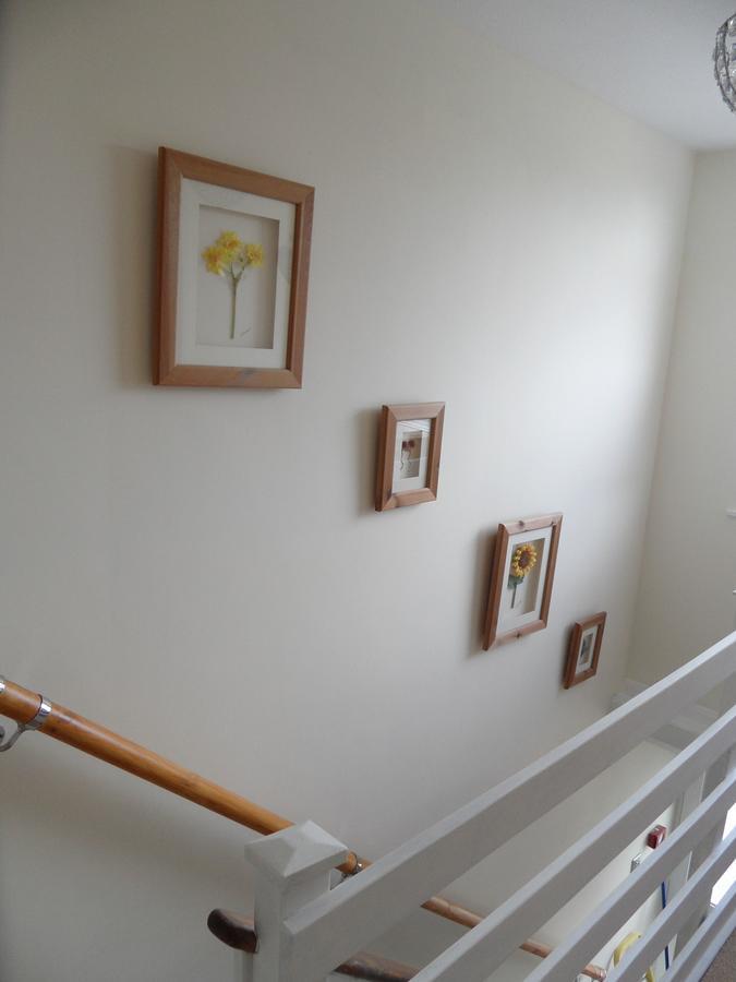 Monterey Pines Bed & Breakfast Helston Ngoại thất bức ảnh