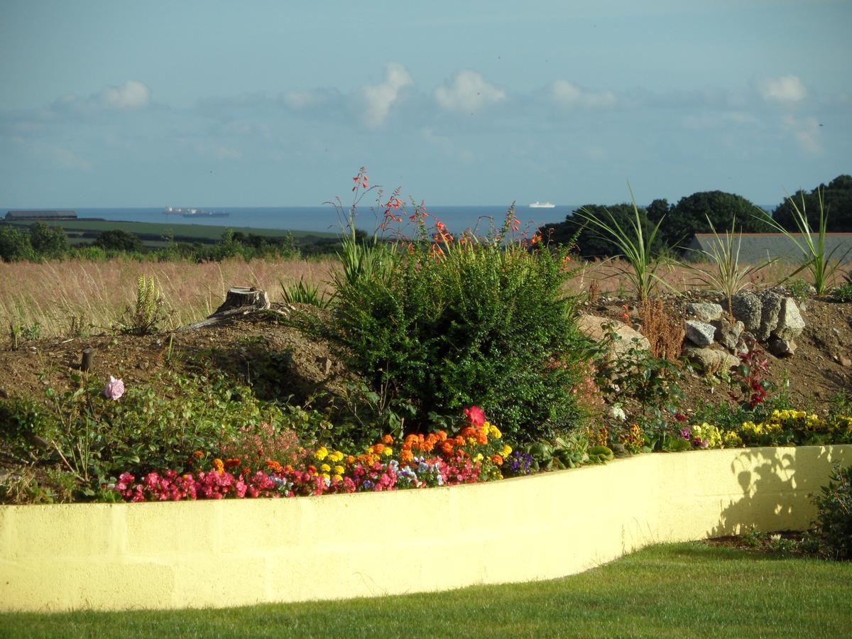 Monterey Pines Bed & Breakfast Helston Ngoại thất bức ảnh